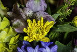 Flowers and Plants of the Florida Keys