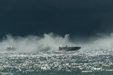Key West World Championship Powerboat Races 218