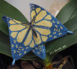 Ukrainian Butterfly