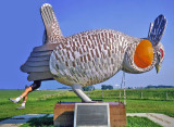 Prairie Chicken Gives Birth to a Cyclist