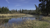 spring_on_the_river
