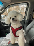 Maggie