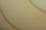 Microscopic minerals