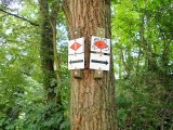 Stage 1: Trail markers