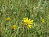 IMG_0024.JPG