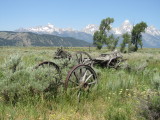 Old tractor 