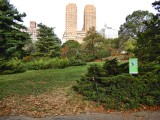 Strawberry Fields in Central Park