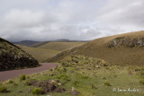 _MG_7078.jpg