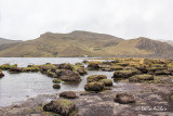 Laguna la Mica