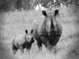 South Africa 2013