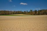 Une journée à la campagne.