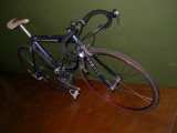 DSCN0796.JPG