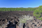 Sunset Crater Volcano National Monument