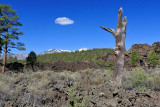 Sunset Crater Volcano National Monument