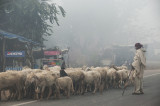 Snapshots Of India