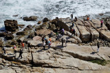 Cape of Good Hope