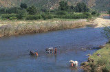 From Kalaw to Mandalay