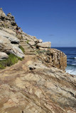 Cape of Good Hope