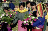 Kalaw