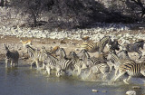 Etosha, Namibia