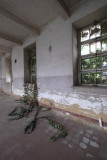 Miguel Bombarda Hospital (abandoned)