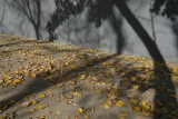 Conchas Park