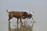 Nahoon Beach