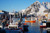Henningsvaer