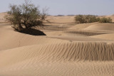 Tilalen