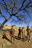 Bushman, Kalahari Desert, Namibia