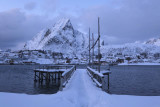 Reine