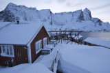Reine