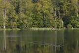 Plitvice Lakes National Park