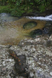 La Macarena, Caño Escondido