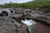 La Macarena, Cao Cristales