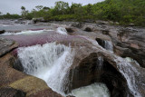 La Macarena, Cao Cristales