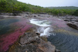 La Macarena, Cao Cristales