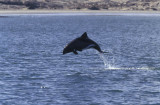 Near Luderitz, Namibia
