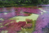 La Macarena, Caño Cristales