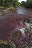 La Macarena, Caño Piedras