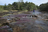 La Macarena, Caño Piedras