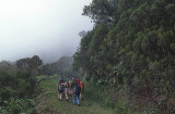 Hike, Reunion Island