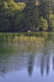 Plitvice Lakes National Park