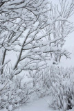 Near Leknes, around our home