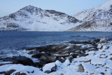 Near Vik Beach