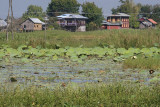 Inle Lake, Inle Treasure