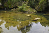 Rastoke