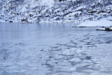 Maervoll