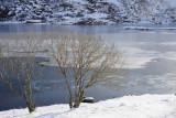 Maervoll