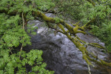 River near Hermitage Castle